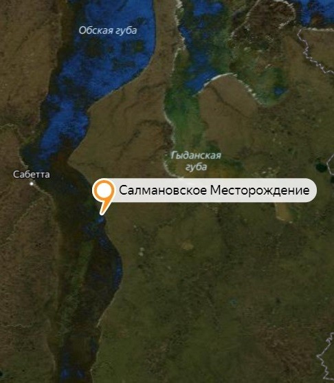 Салмановское месторождение на карте