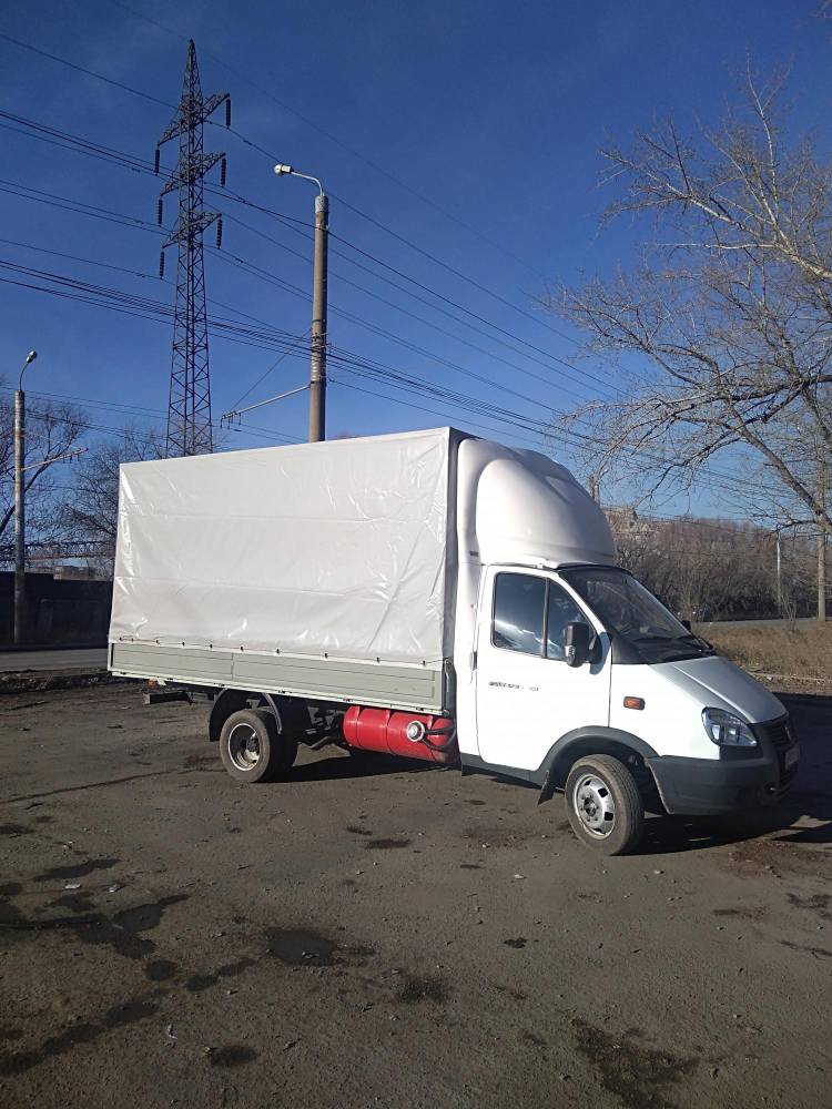 газель